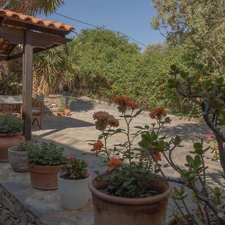 Private Pet Friendly Villa Агиос-Николаос Экстерьер фото