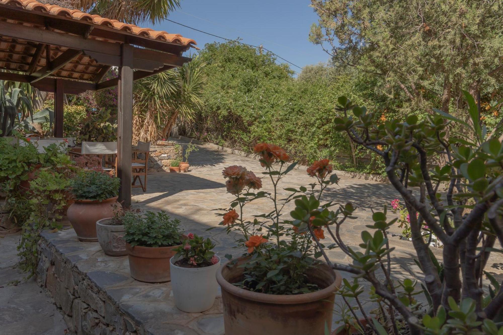 Private Pet Friendly Villa Агиос-Николаос Экстерьер фото